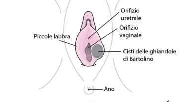 ghiandola di bartolini gentalyn beta