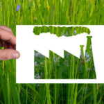 greenwashing