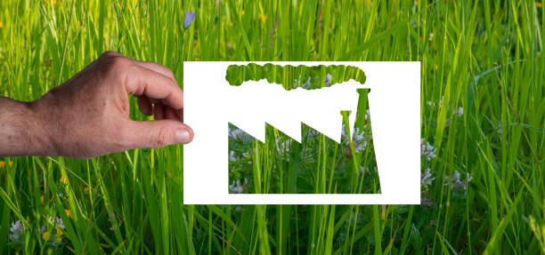 greenwashing