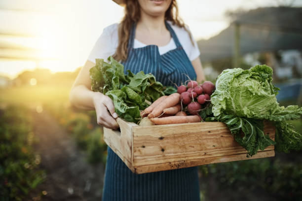 autosufficienza alimentare