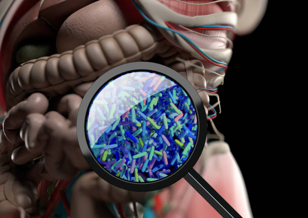 microbiota batteri