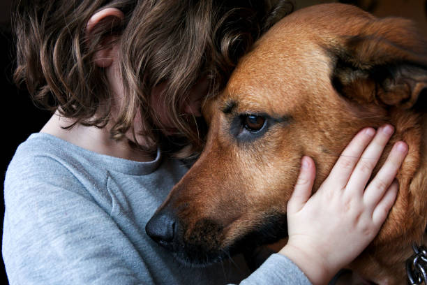 animali e uomini a confronto
