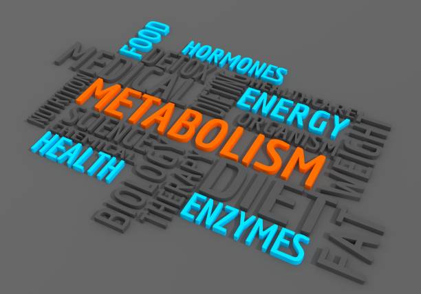 codice metabolico