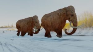 mammut